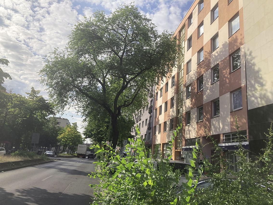 Impressionen zur Lage in Berlin